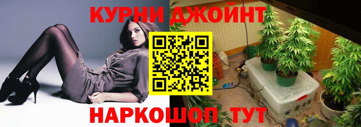 Вольск  Шишки марихуана ГИДРОПОН  Шишки марихуана планчик  Вход с VPN  Шишки марихуана Amnesia 